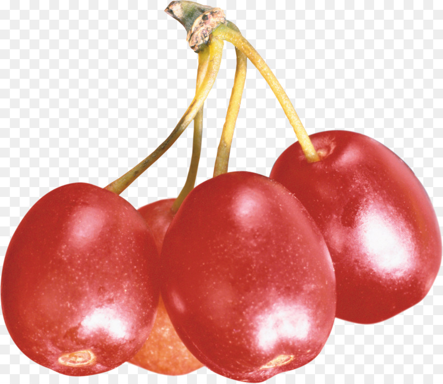 Cây Dâu Đỏ Anh Đào Thức Ăn Trái Cây - 