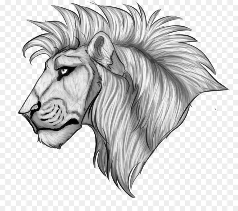 Zeichnung Katze Säugetier - Lions Head