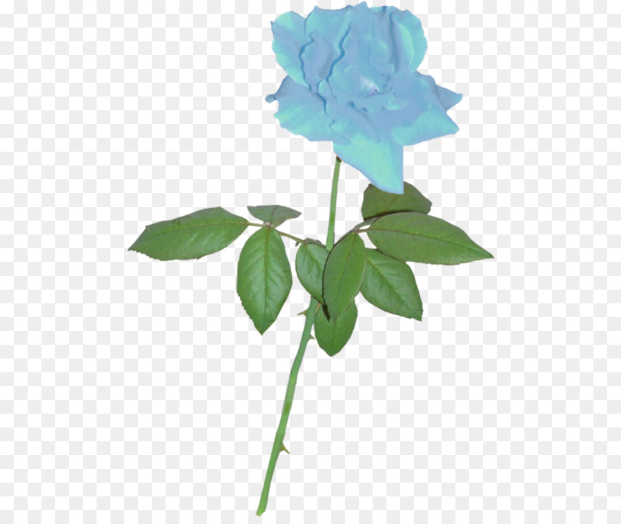 Bóng Rose Clip nghệ thuật - Màu xanh rose