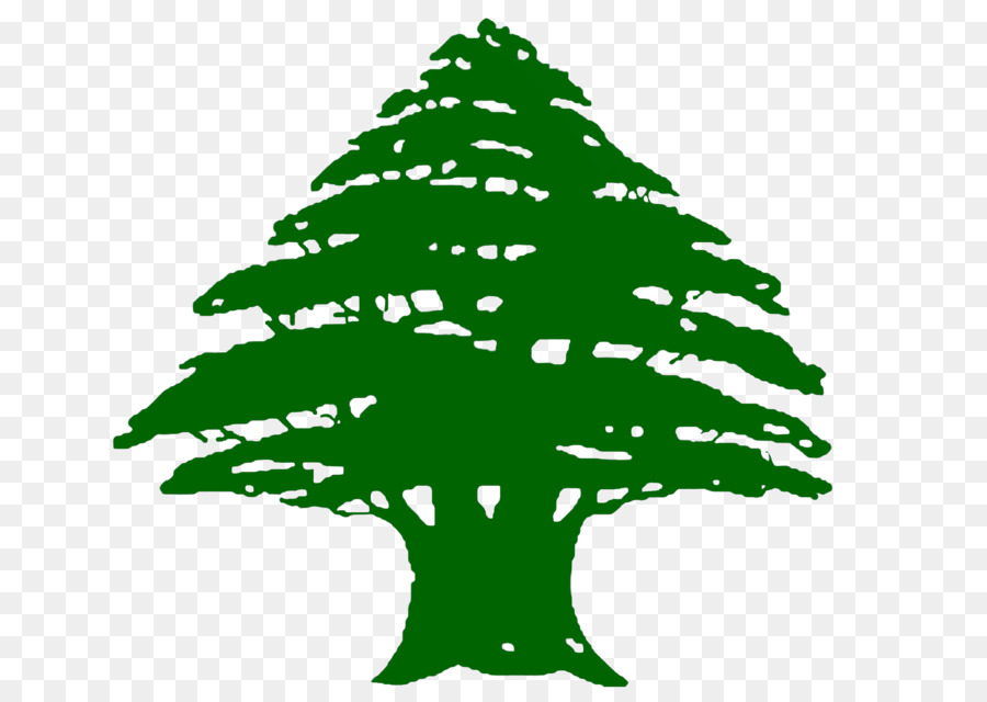 Bandiera del Libano Phoenicia Cedrus libani Monte Libano - abete