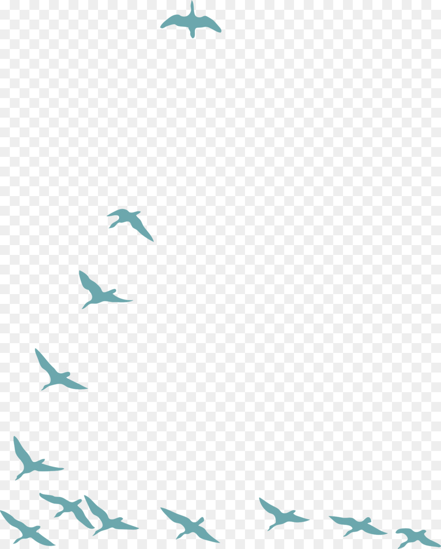 Uccello d'Oca, piccione Nazionale Gregge - D'oca