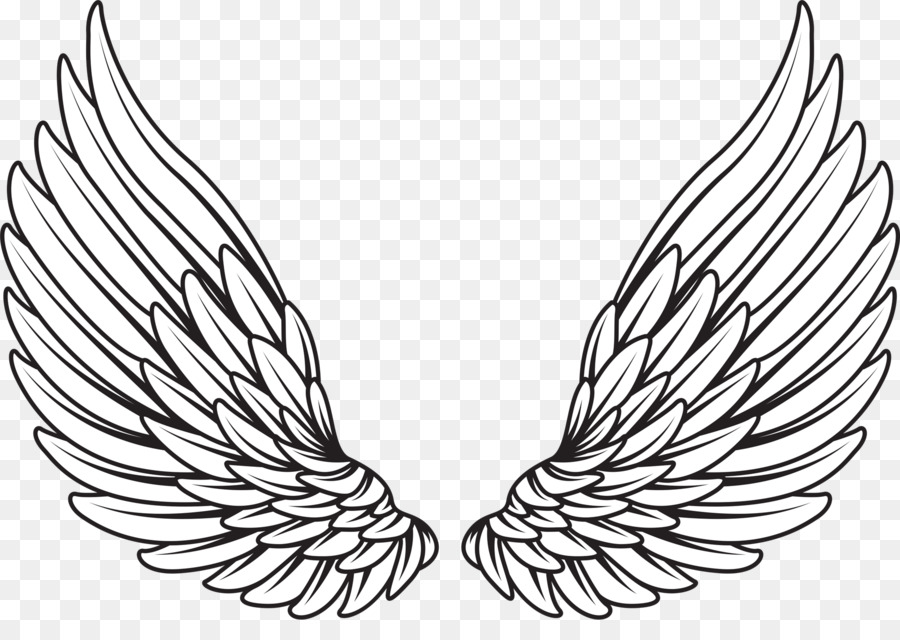 Vẽ bản Quyền miễn phí - cánh thiên thần