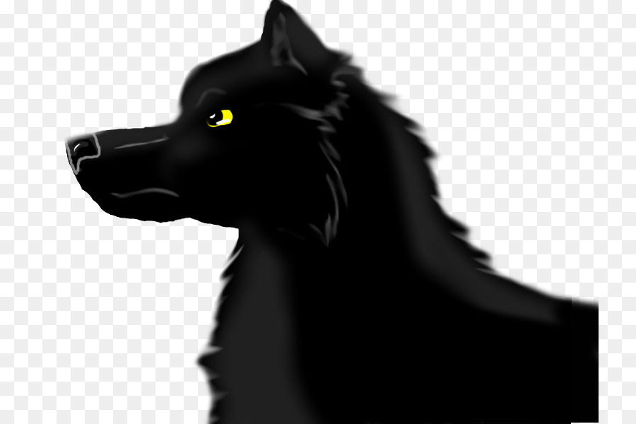 Schipperke Schwarz wolf Zeichnung Arctic wolf Canidae - Schwarzer Wolf