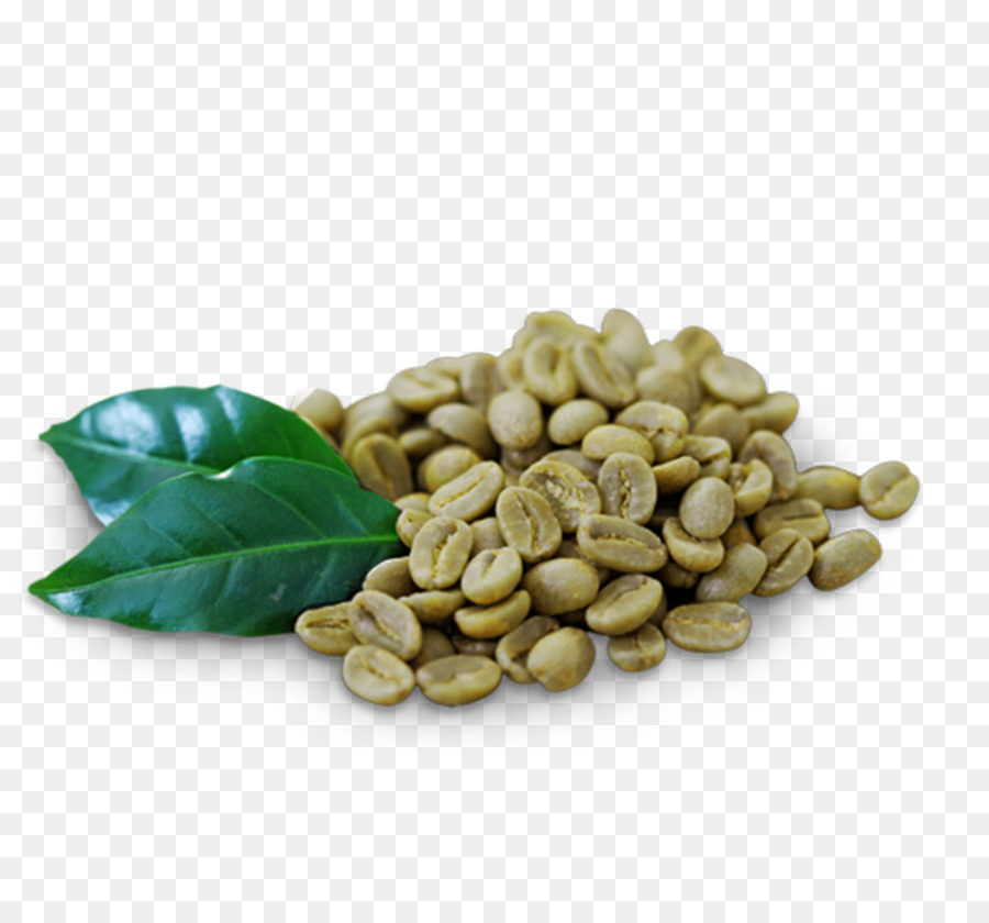 L'estratto di caffè verde, tè Verde - locale dimagrante
