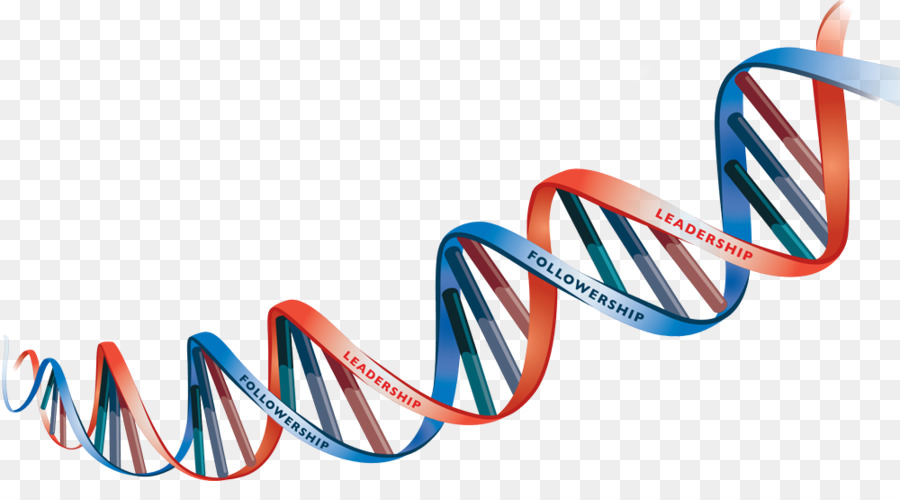 DNA Eredità Clip art - vettore di dna