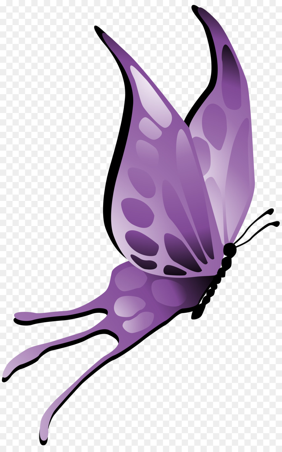 Schmetterling Insekt Tier Lila Violett - lila