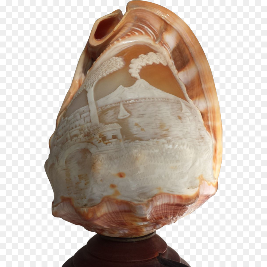 Shankha Seashell