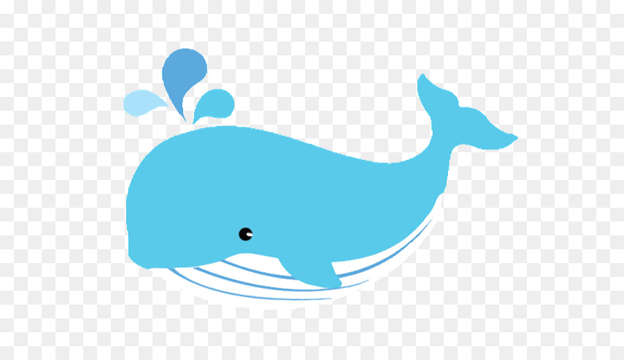 Whale Cartoon png download - 600*512 - Free Transparent Whale png Download.  - CleanPNG / KissPNG
