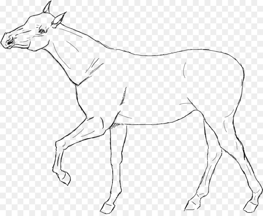 Line art American Quarter Horse-Racking horse Zeichnung - Lineart