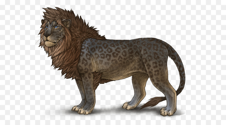Lion Leopon Tier, Big cat - meliert