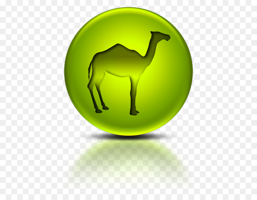 Battriano cammello Dromedario Informazioni Icone del Computer - compagno di gioco