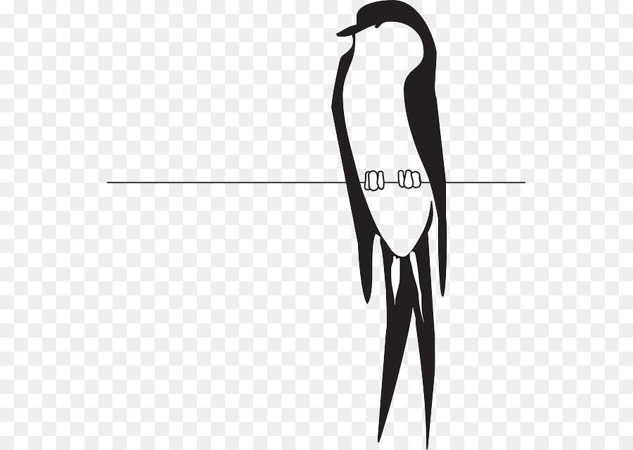 Uccello Clip art - artiglio vettoriale