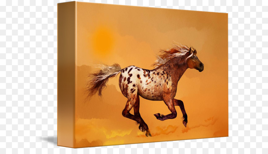 Appaloosa Mustang Hengst Pony Gallery wrap - Ingwer Aquarell