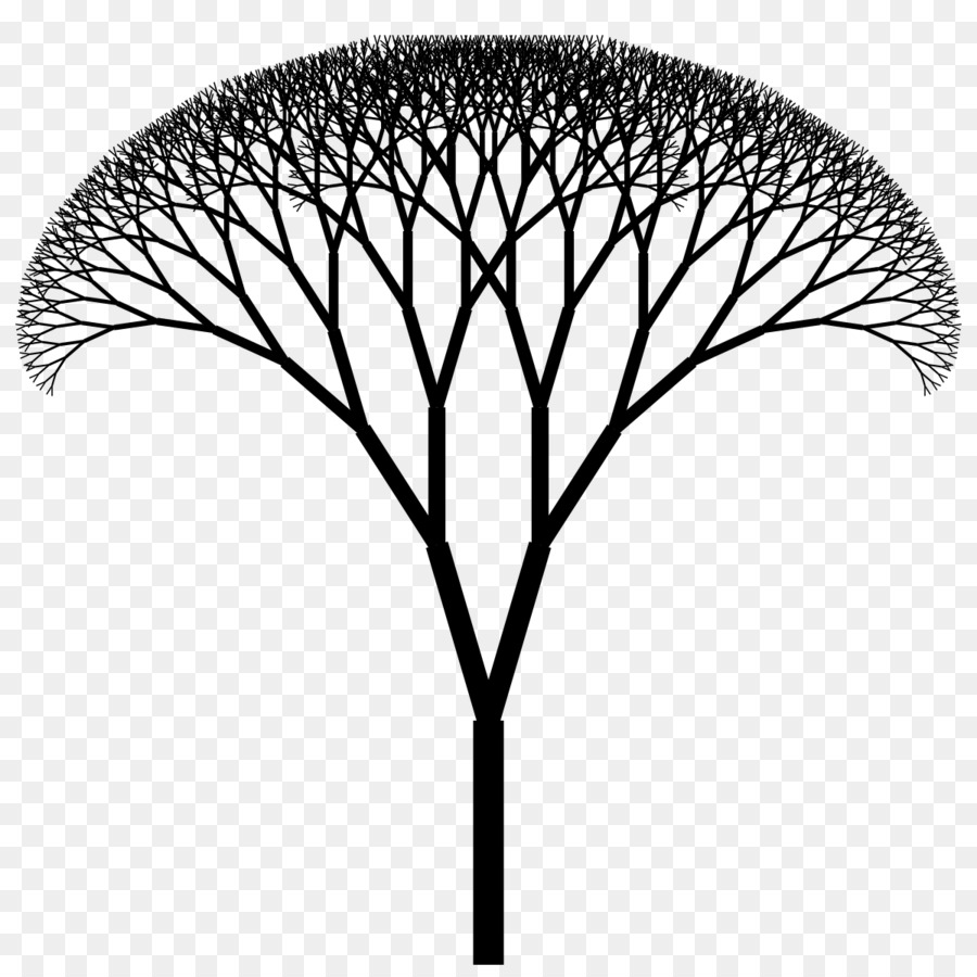 Giác tán H cây Giác cây số - cấu trúc biểu tượng