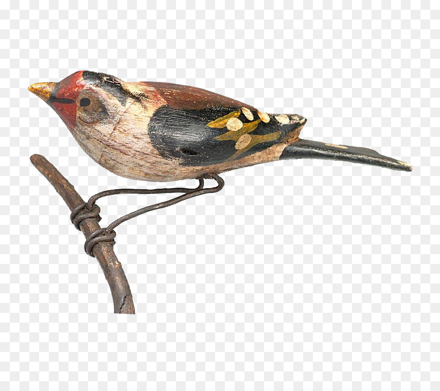 Vogel Finch Wren Schnabel Fauna - Handbemalte Vögel