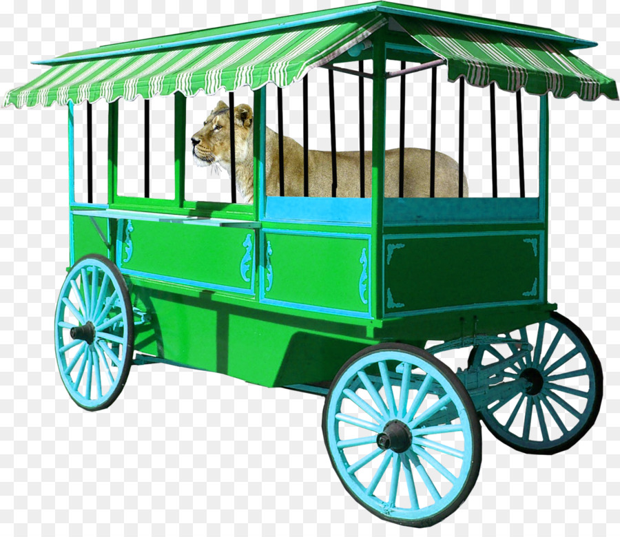 Vehicle Wagon