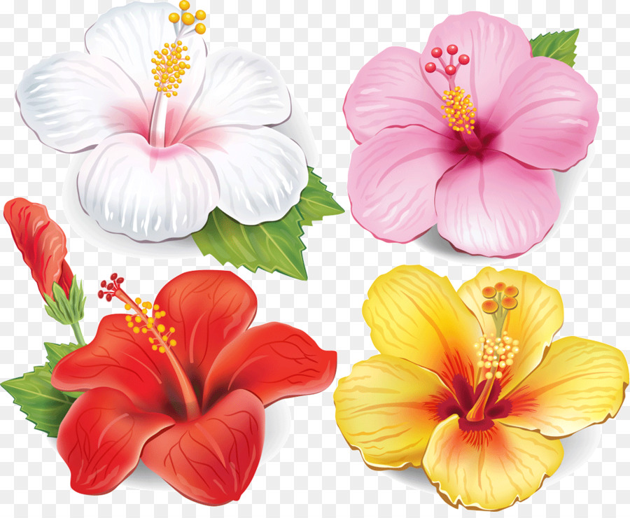 Drawing Of Family png download - 1100*894 - Free Transparent Flower png  Download. - CleanPNG / KissPNG