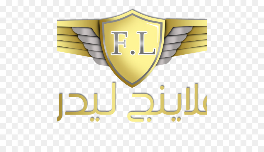 Volo Leader Rabigh Ali Aviation Academy Aereo Flight dispatcher - era