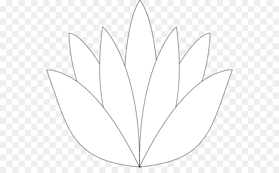 Disegno, Monocromatico /m/02csf - Lotus foglia di lotus