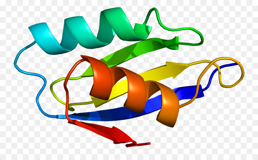 ATP7A Menkes-Krankheit Morbus Wilson protein Golgi-Apparat - Plasma