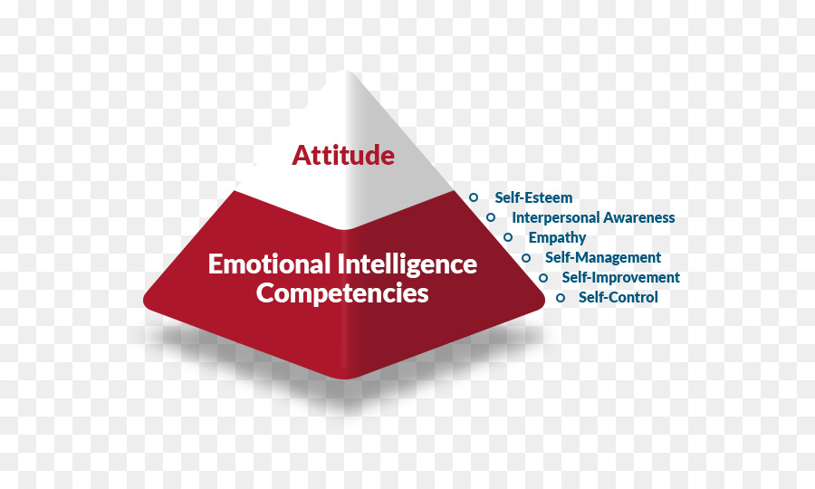 Soft skills competenza Emotiva l'intelligenza Emotiva - insegnare