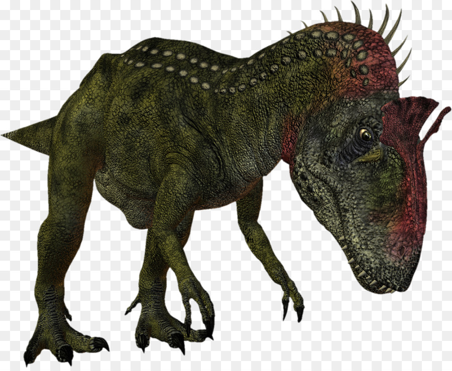 Voi Con Khủng Long Tyrannosaurus Khủng Long Dilophosaurus - 