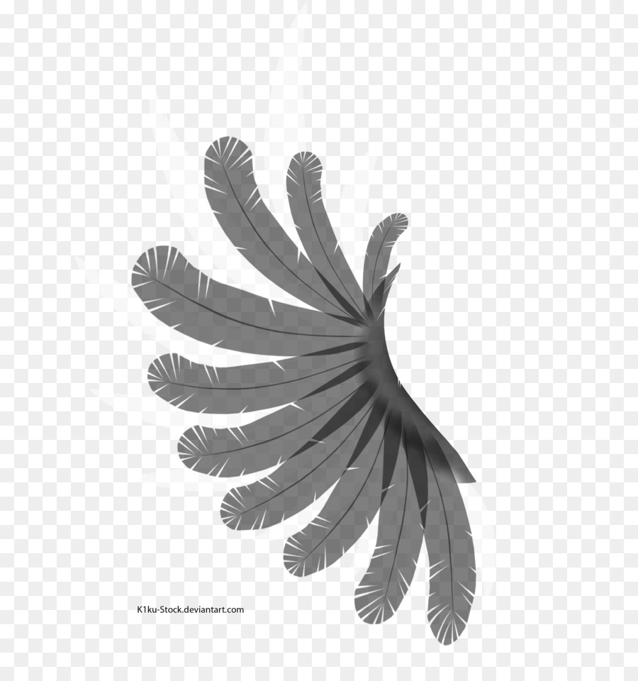 Flügel Schwarz und weiße Feder-Vogel - White Wings
