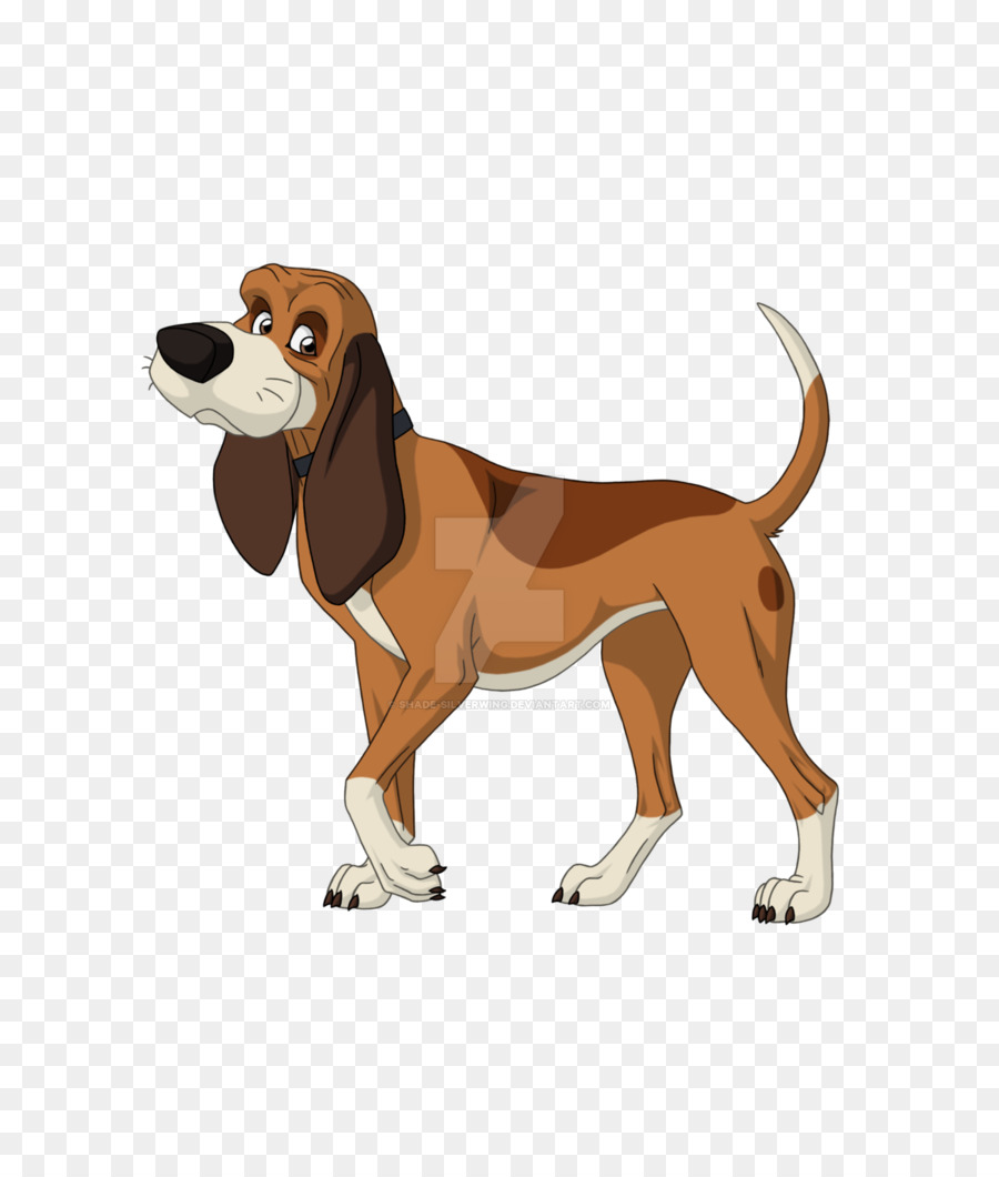Foxhound inglese Harrier Treeing Walker Coonhound Beagle Black and Tan Coonhound - poster ombreggiatura