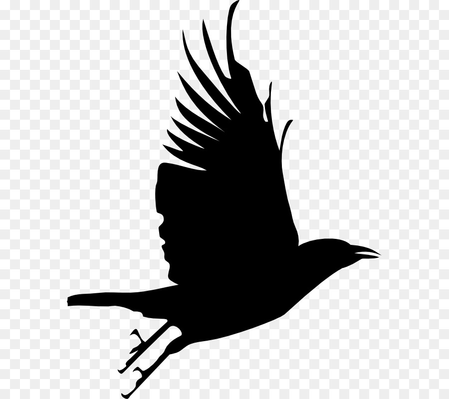 Vogel Krähe Silhouette Clip art - raven Vektor