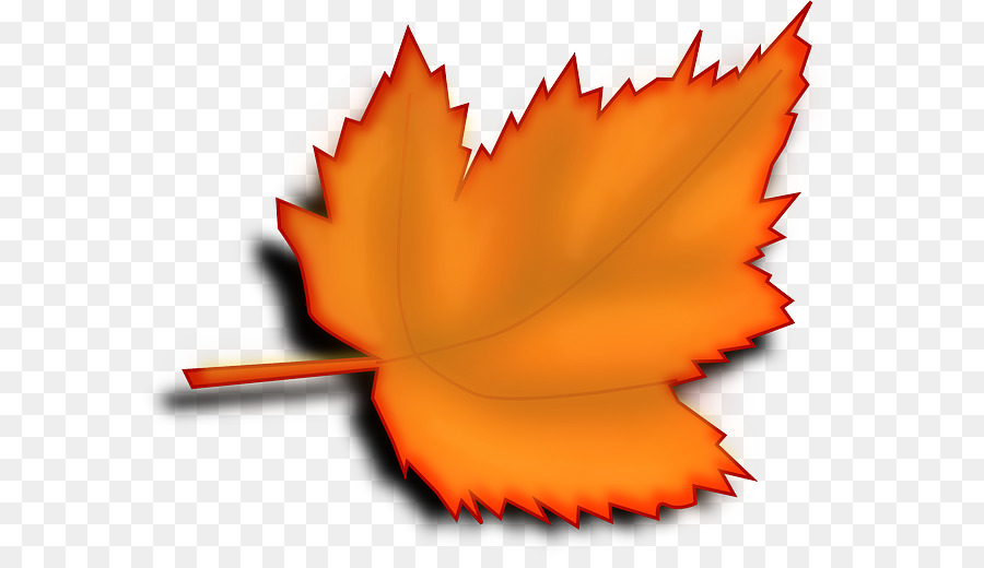 Foglia d'autunno il colore di Sfondo per il Desktop Clip art - arancione dentista