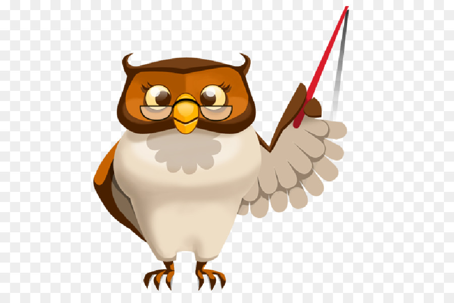Owl Cartoon png download - 600*600 - Free Transparent Owl png Download. -  CleanPNG / KissPNG