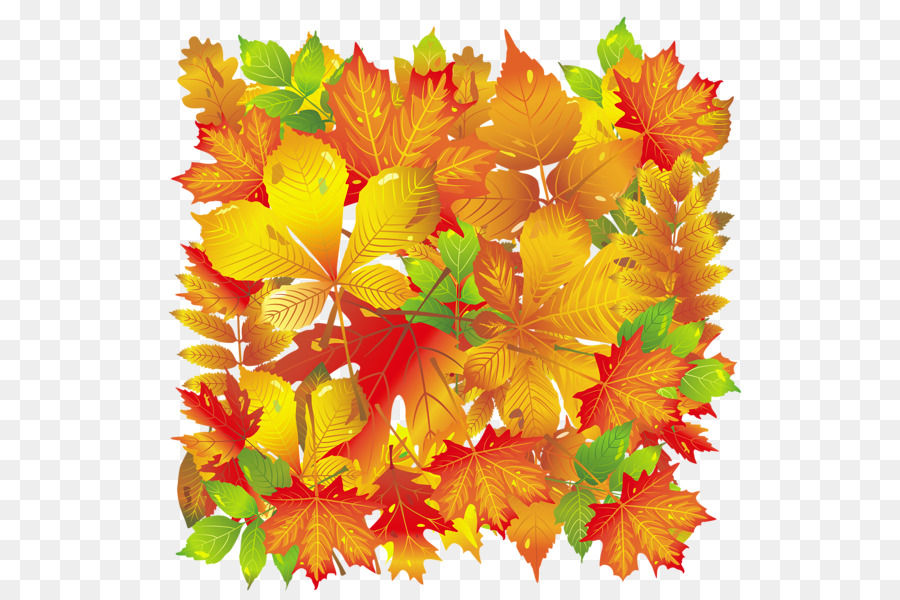 Foglia d'autunno il colore delle Foglie Autunnali - foglia