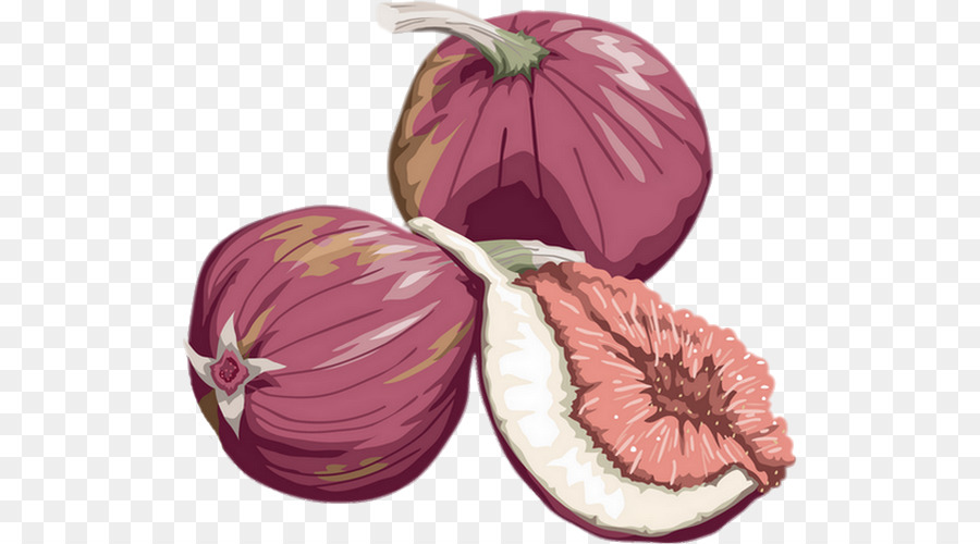Frutta Disegno fig Comune - Figura.