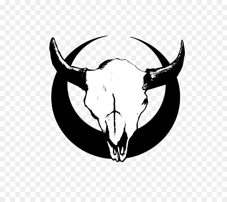 Bestiame Bull Clip art - teschio nero
