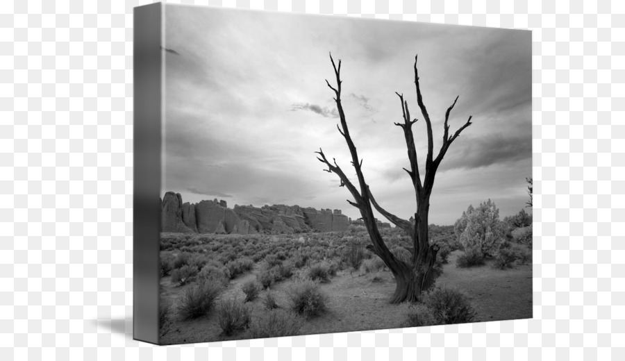Cảnh quan nhiếp ảnh Bryce Canyon Cảnh quan nhiếp ảnh - Bức tranh phong cảnh