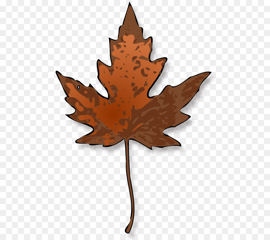 Foglia d'autunno a colori, Maple leaf Clip art - acero clipart