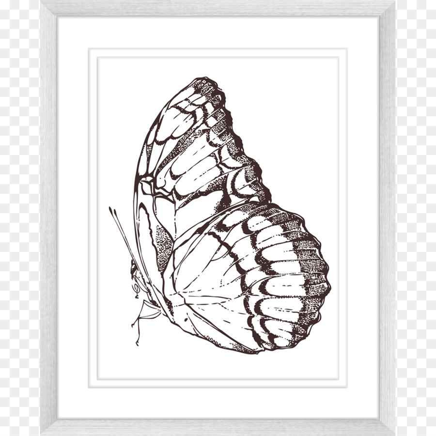 Butterfly Visual arts Innovation Innenräume Zeichnen - schöner Druck