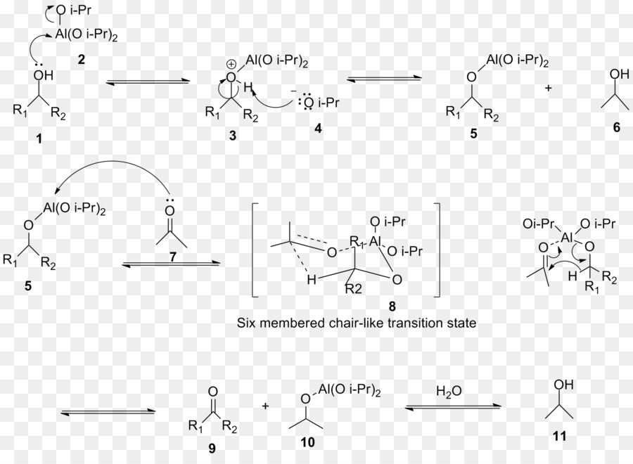 Oppenauer-oxidation Redox-Alkohol-oxidation Oxidation von sekundären Alkoholen zu Ketonen - Kampfer