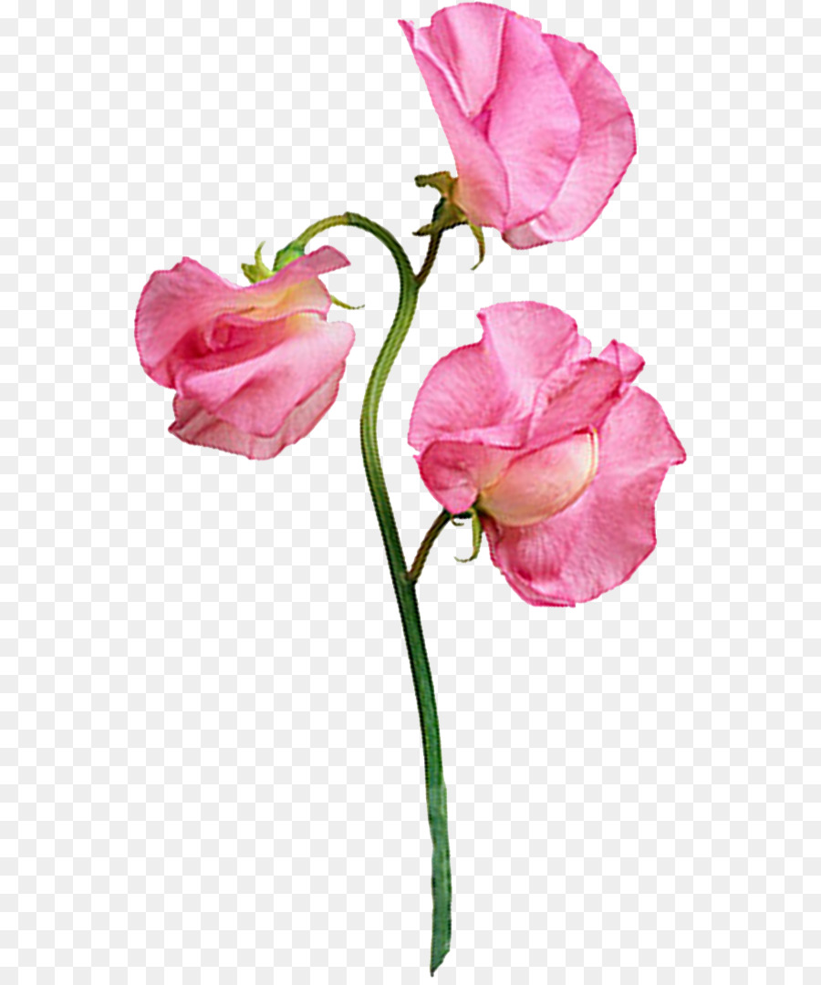 Wandtattoo Aufkleber Tattoo Blume - Blume