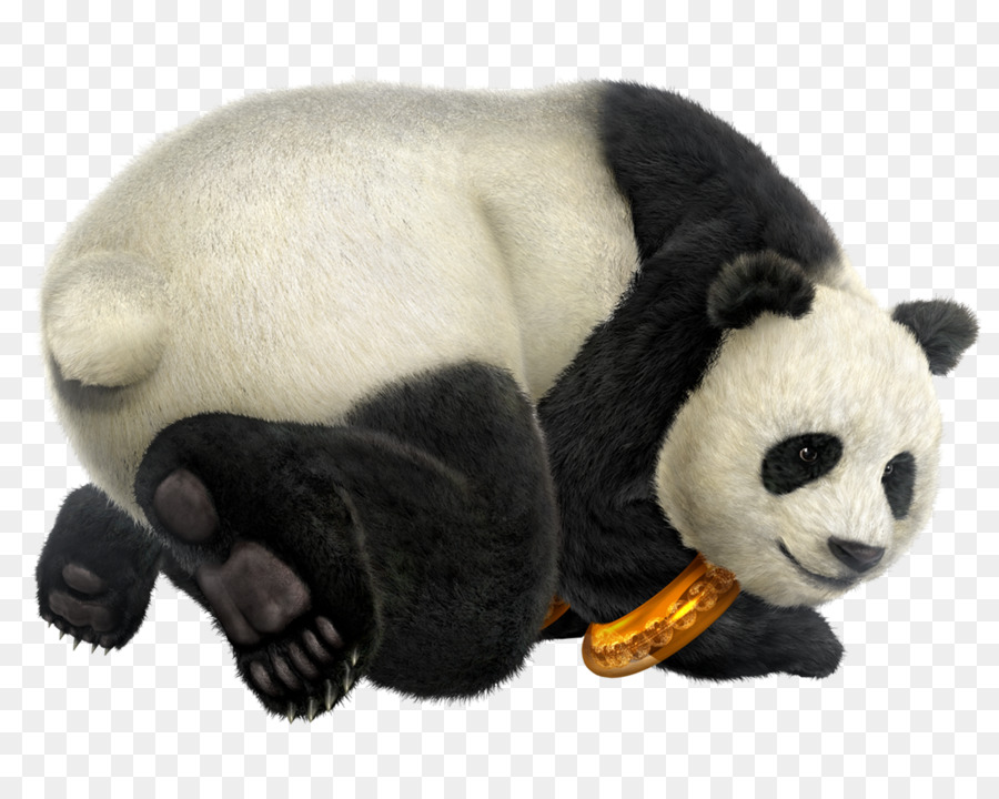 Tekken 6, Tekken 3, Tekken Tag Tournament 2 Tekken 5 Panda - Pandabären
