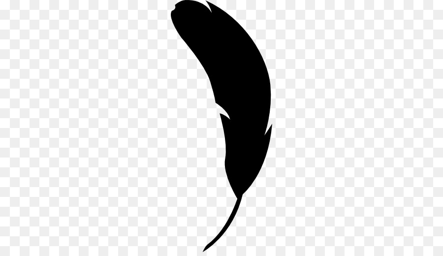 Lông Chim Hình Máy Tính Biểu Tượng Động Vật - lông đen