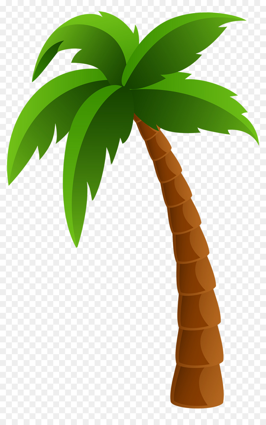 Coconut Tree Cartoon png download - 1000*1580 - Free Transparent Arecaceae  png Download. - CleanPNG / KissPNG