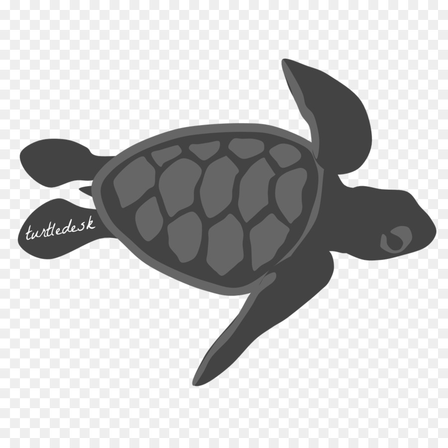 Sea Turtle Background