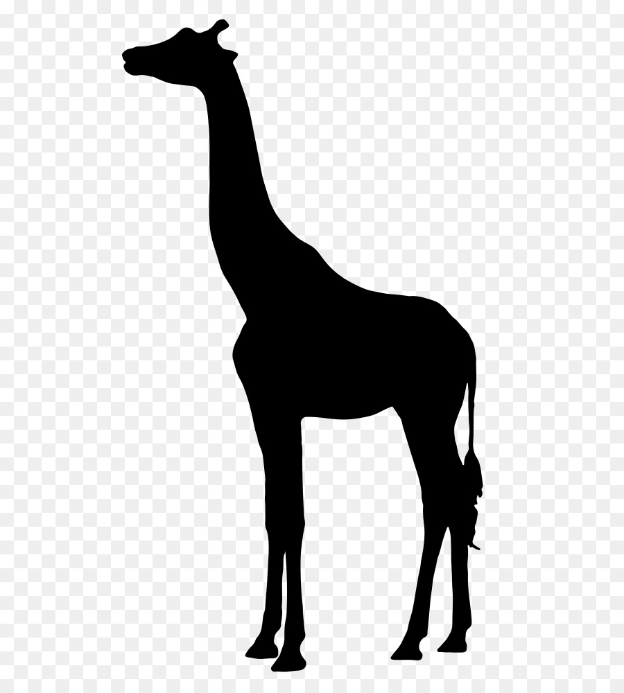 Silhouette westafrikanischen giraffe Clip-art - giraffe Vektor
