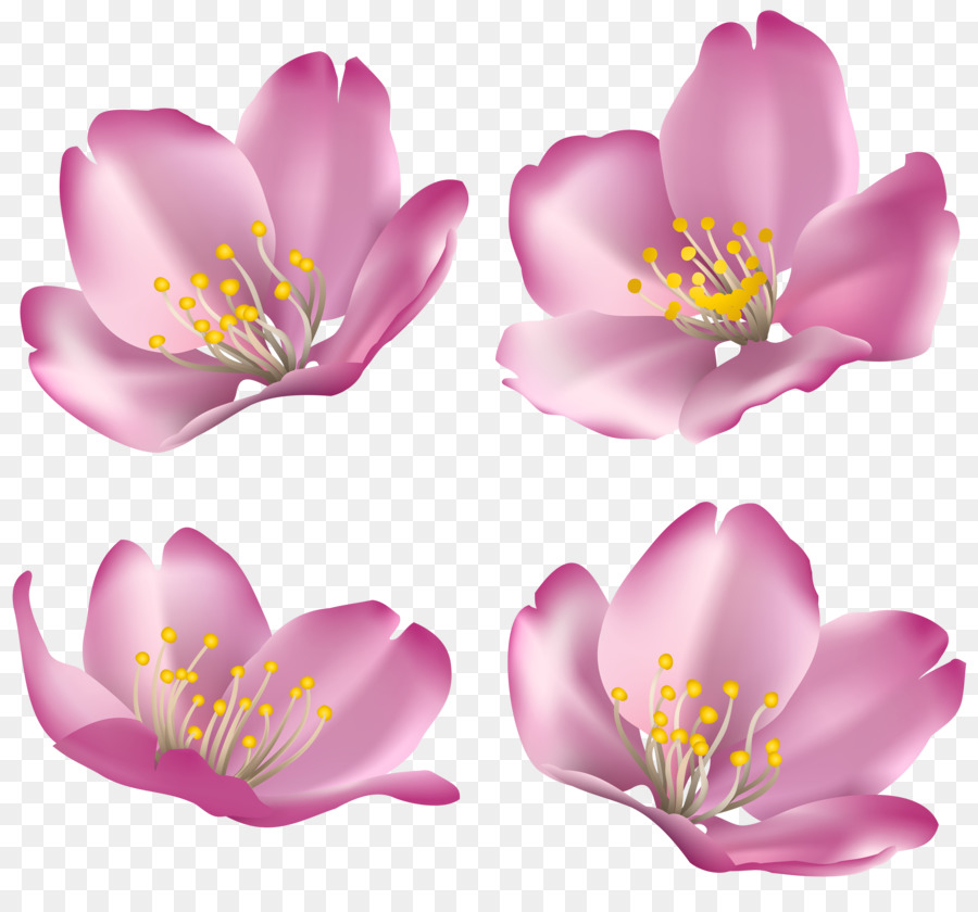 Flower Clip Art - Dekorationen clipart