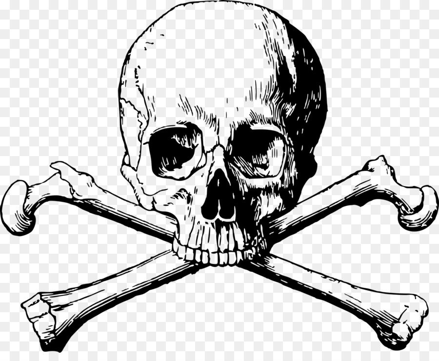 Teschio e le Ossa del Cranio e le ossa incrociate - cranio
