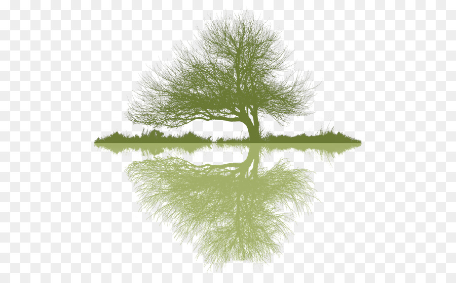 Arborist messa a dimora di alberi Logo Arboricoltura - rami
