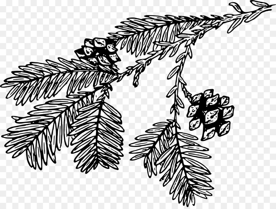 Linie Kunst-Baum-Zeichnung Redwoods - Baum