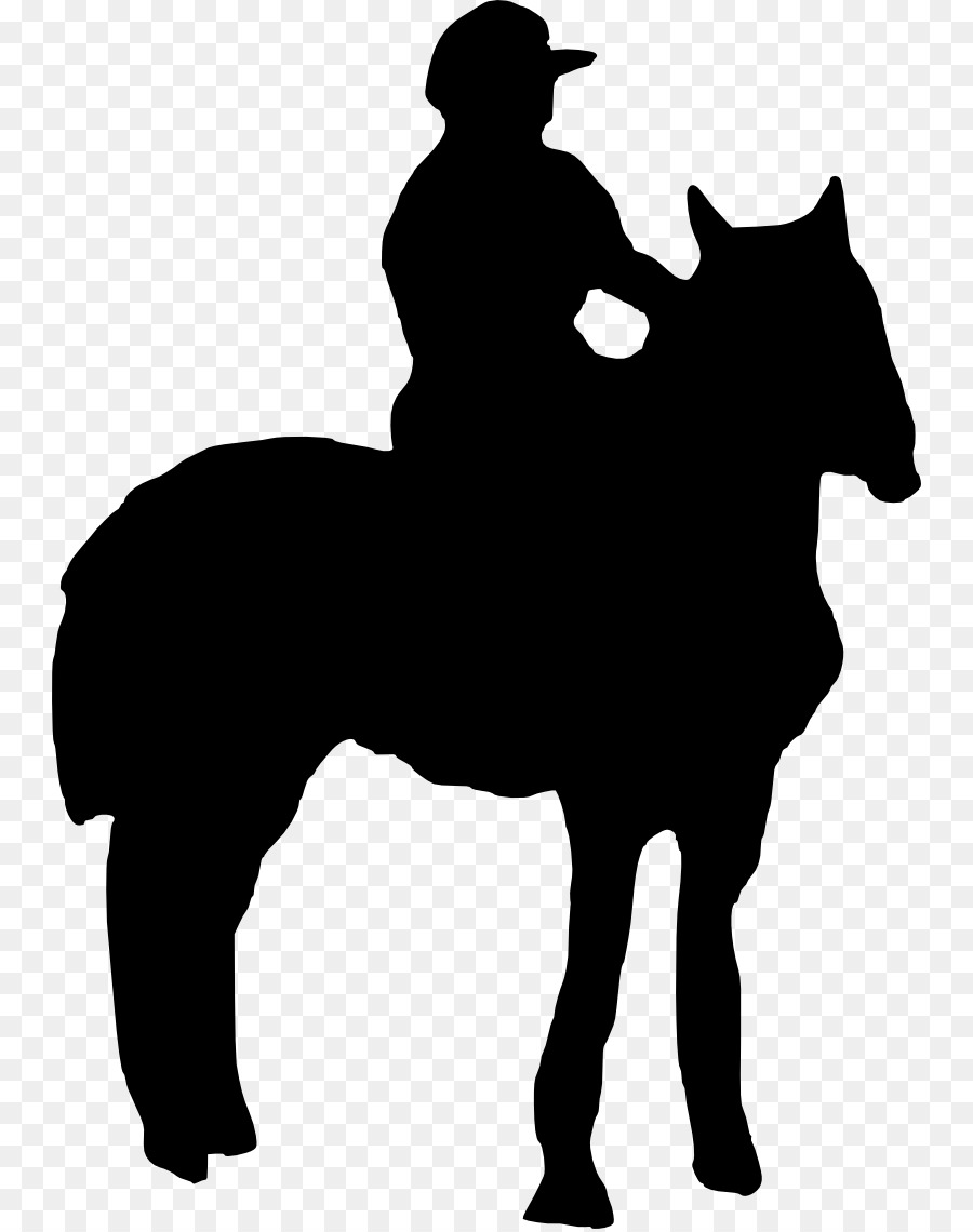 Cavallo Pony Equestre Stallone Sfogo - equitazione