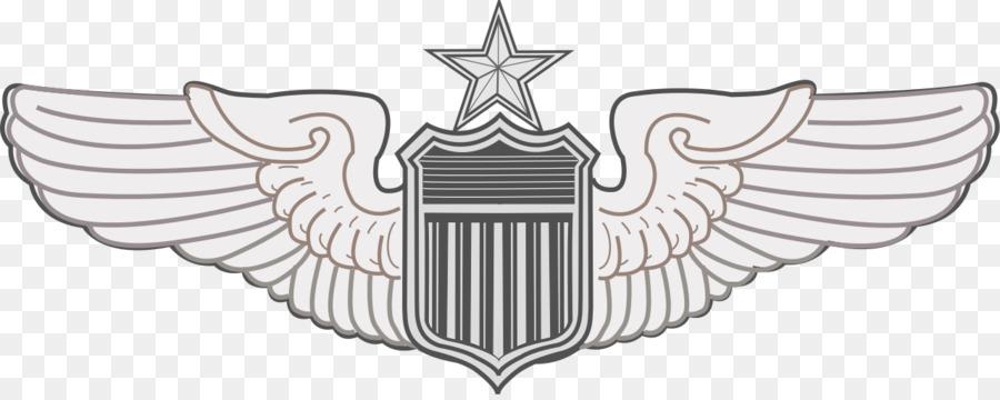 US Air Force aeronautico valutazione 0506147919 Stati Uniti Aviator Badge Distintivi della United St - ali materiale